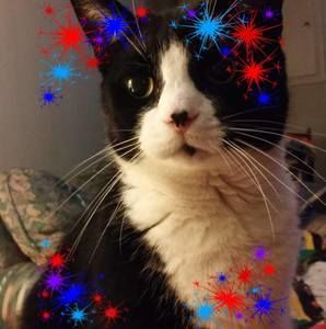 Meet your Posher, Jane